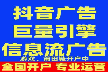 信息流广告的精准定位与效果优化案例分析